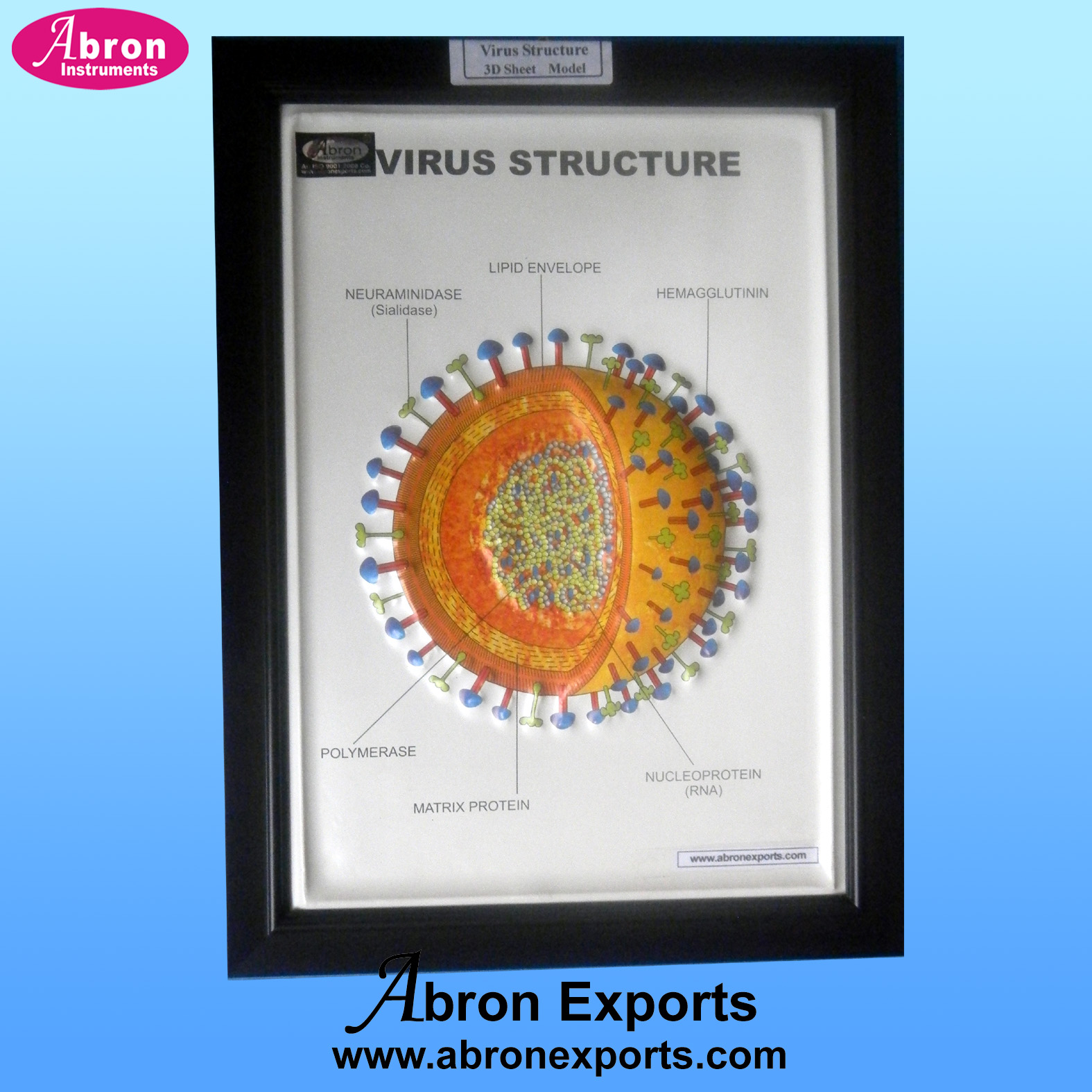 Model Zoology Virus Model plastic 3D Sheet 25x35cm in frame 5pc AB-153B